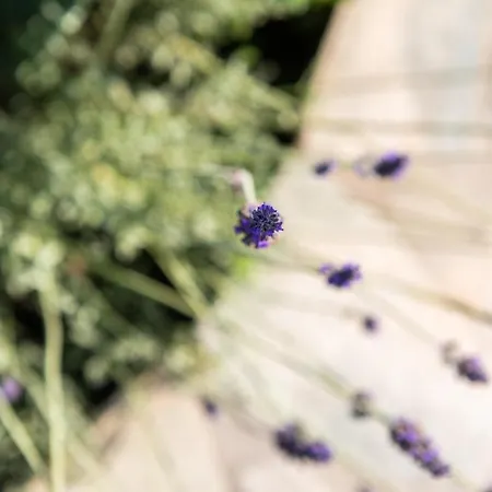 Panorama Maisonette Ferienhaus Livadia (Paros)