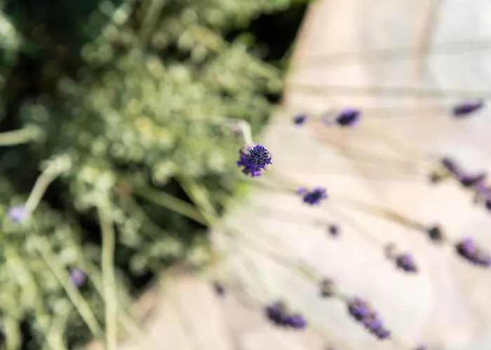 Panorama Maisonette Ferienhaus Livadia (Paros)